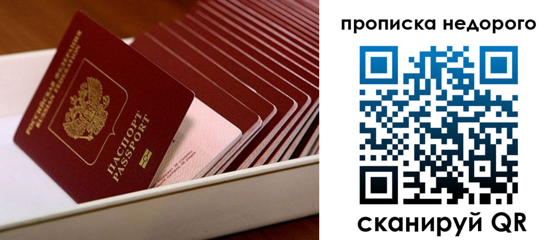 прописка паспорт в Острогожске